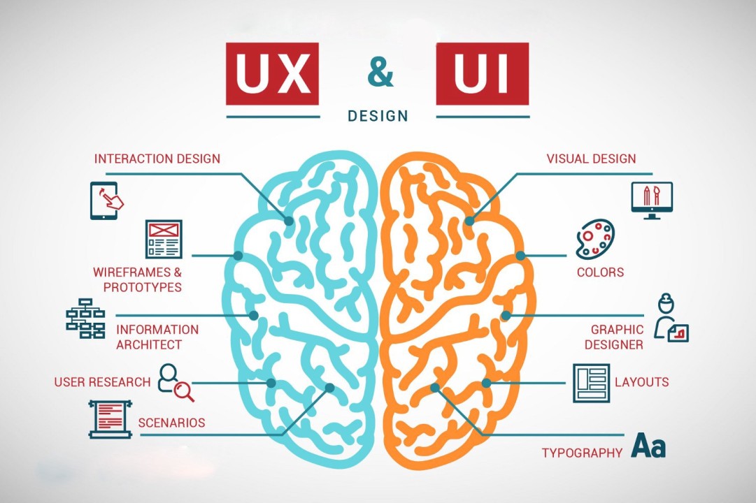 UI/UX Design Fundamentals